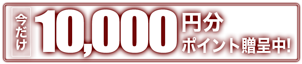 ポイント贈呈中